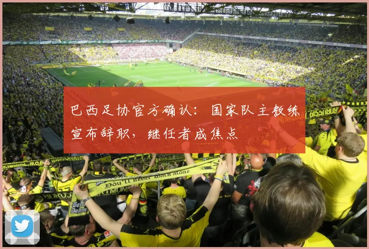 巴西足协官方确认：国家队主教练宣布辞职，继任者成焦点