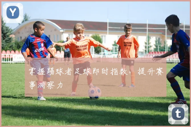 掌握踢球者足球即时指数，提升赛事洞察力