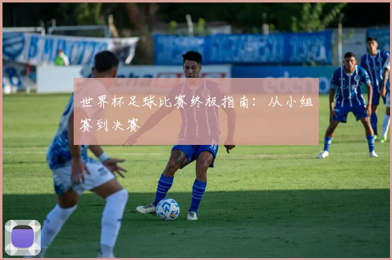 世界杯足球比赛终极指南：从小组赛到决赛
