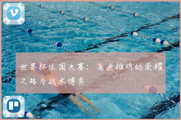 世界杯法国决赛：高卢雄鸡的荣耀之路与战术博弈