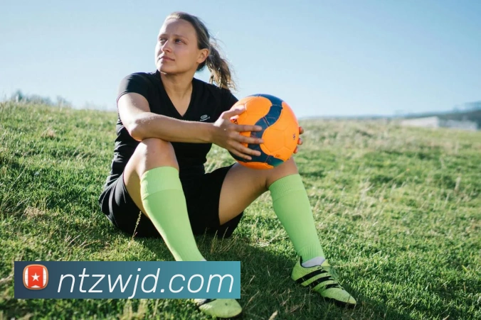 米乐yy易游体育平台生态图